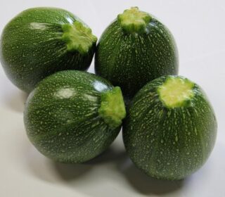 Courgette ronde – كوسة مستديرة