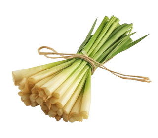 Citronnelle – اللويزة الرومية
