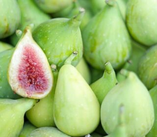 Figue verte – تين أخضر