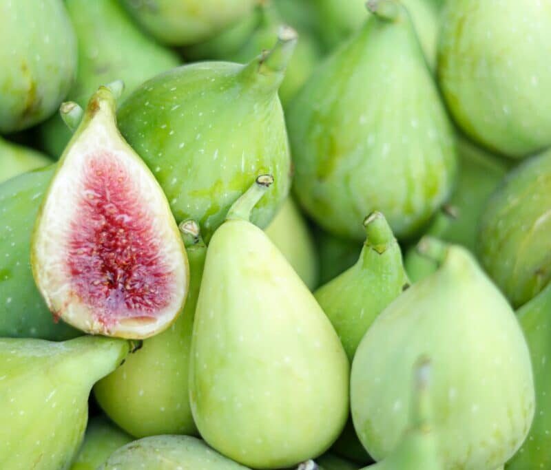 Figue verte – تين أخضر