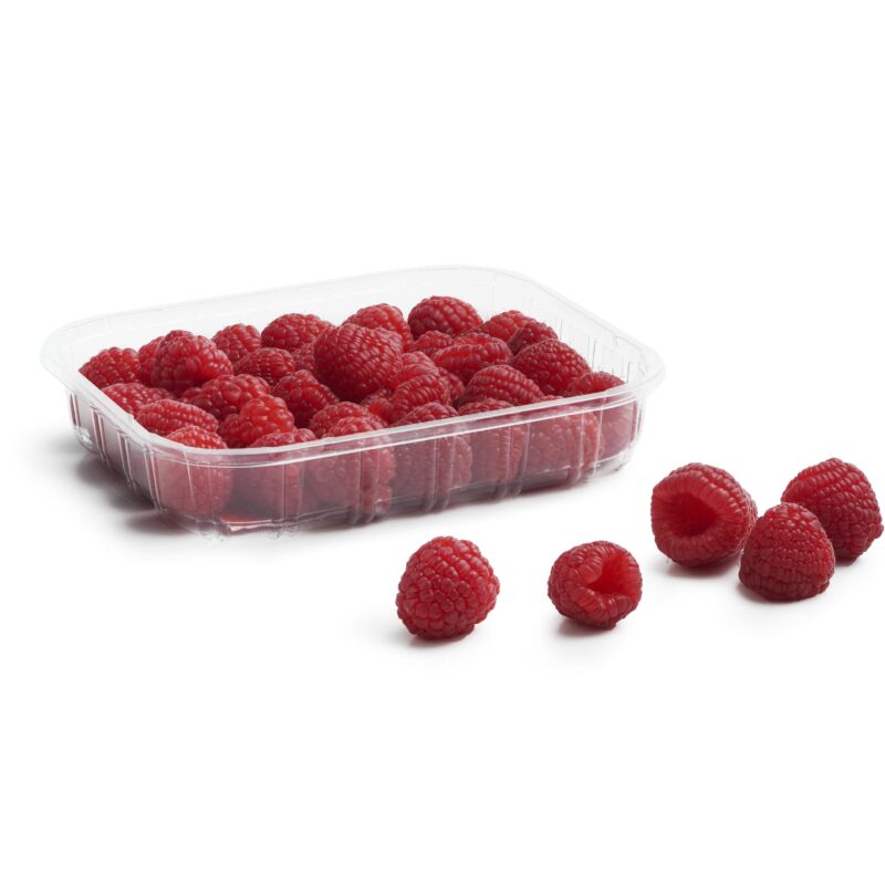 Framboise – توت
