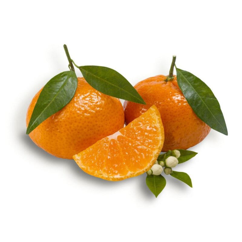 Mandarine – الماندرين