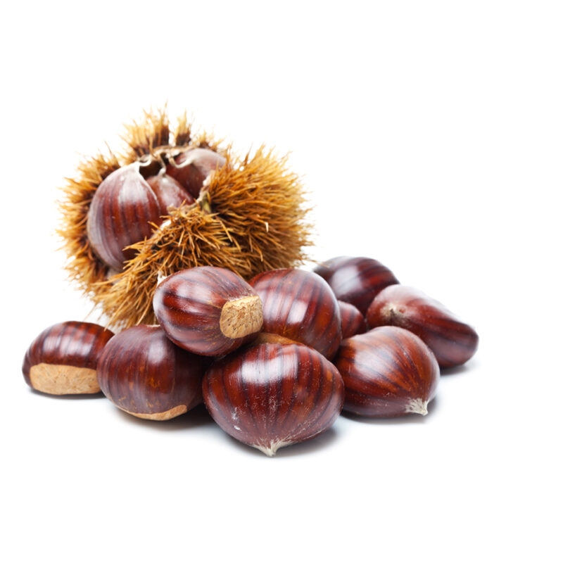 Marron – القسطان