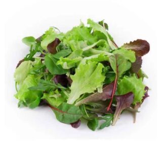 Mesclun de salades – سلطات مختلطة