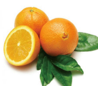 Orange de table – برتقال المائدة