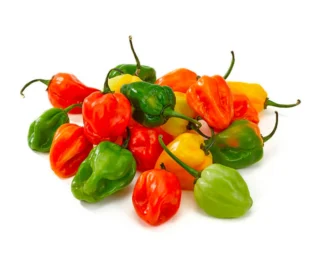 Piment habanero – فلفل الهابانيرو