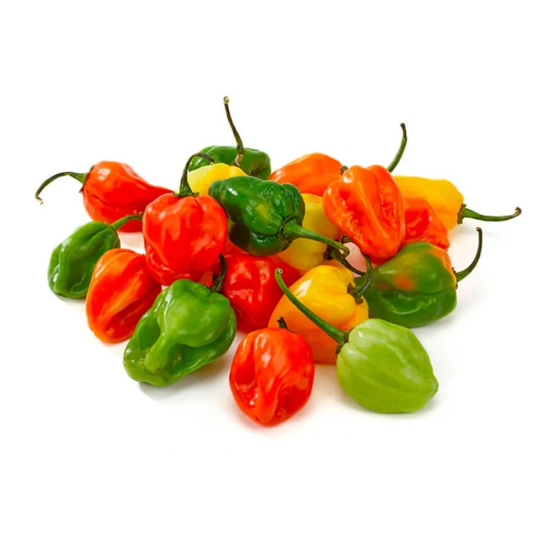 Piment habanero – فلفل الهابانيرو