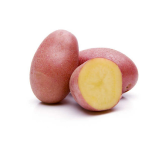 Pomme de terre rouge -بطاطا حمراء
