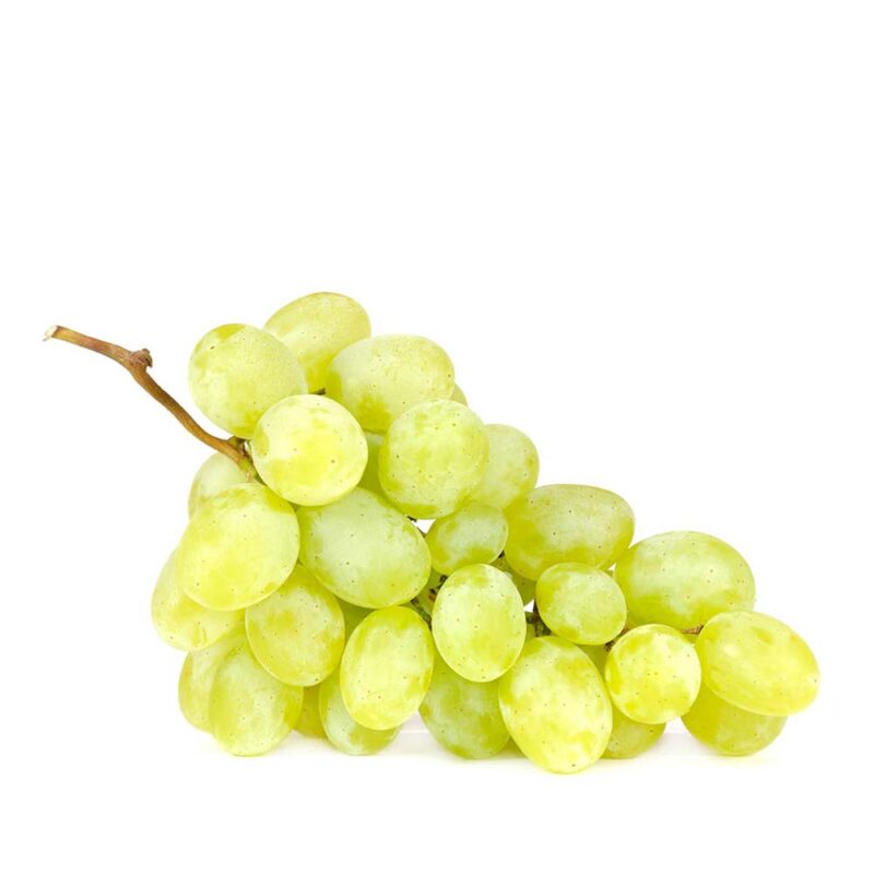 Raisin blanc – عنب أبيض
