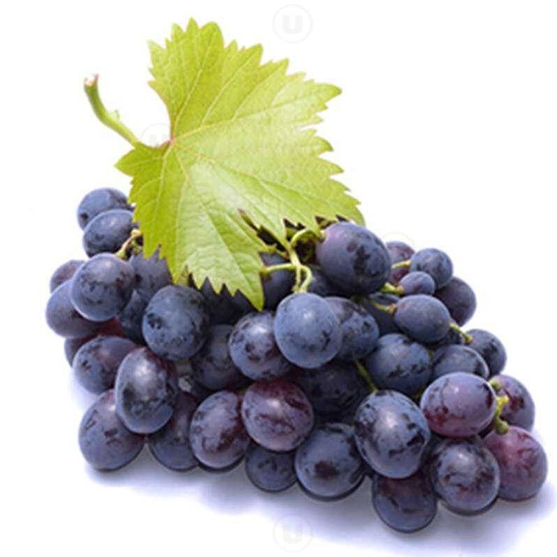 Raisin noir – عنب أسود