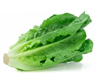 Romaine – رومين