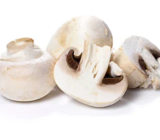 Champignon de Paris – فطر