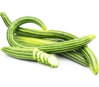 Feggous – الفكوس