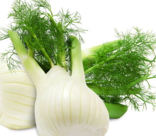 Fenouil – البسباس