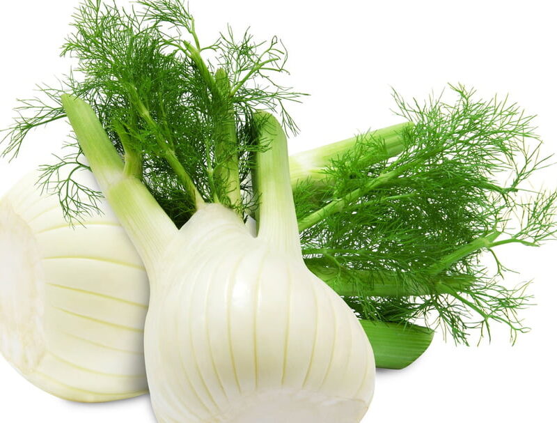 Fenouil – البسباس