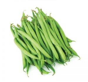 Haricot vert – لوبيا خضراء