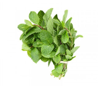 Menthe – البروج
