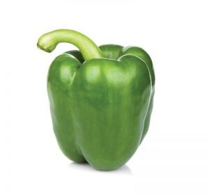 Poivron vert – فلفل أخضر