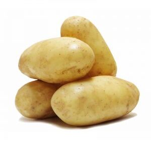 Pomme de terre blanche – بطاطا بيضاء