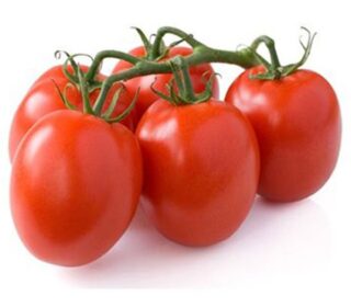 Tomate cencara – طماطم سينكارا