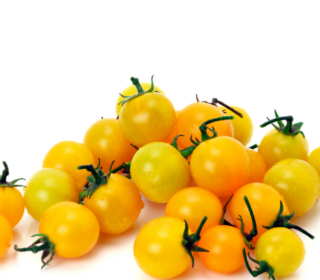 Tomate cerise jaune – طماطم سوريز صفراء