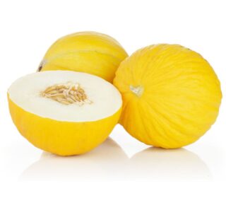 MELON JAUNE - البتيخ
